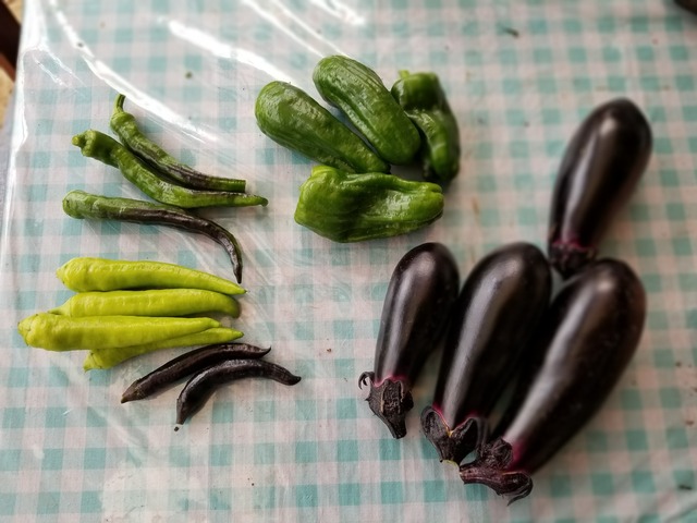 20210625_085405_copy_3024x2268