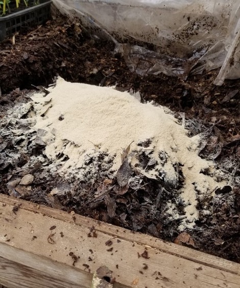 20190330_091044-1024x1365