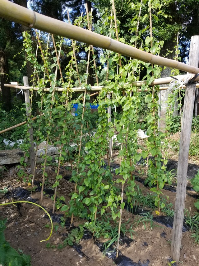 20230721_152909_copy_1512x2016