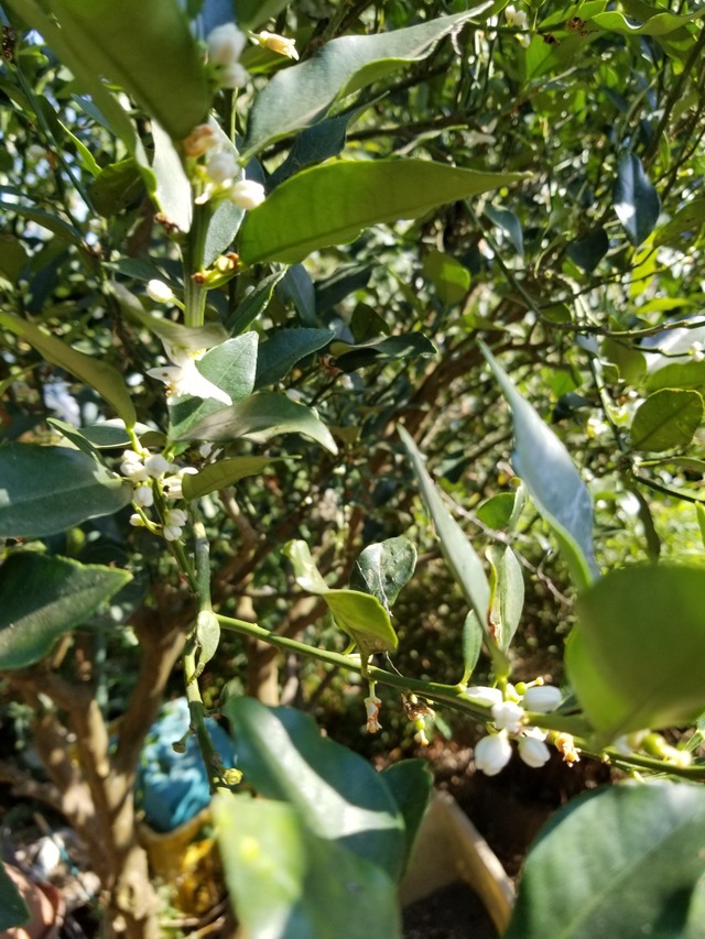 20230726_150225_copy_1512x2016