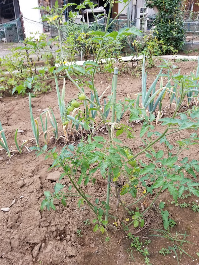 20230628_071954_copy_1512x2016