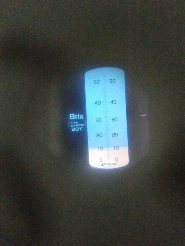 IMG_20231018_111953_copy_1512x2016