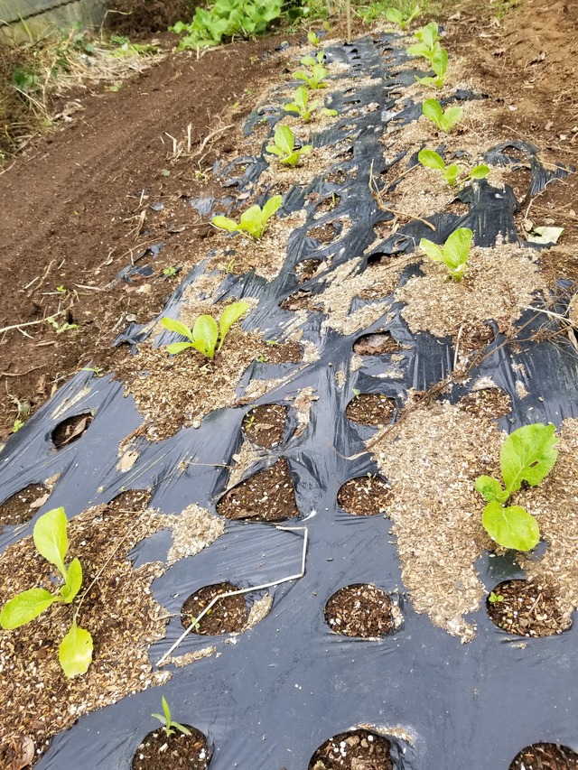 20211031_093719_copy_2268x3024