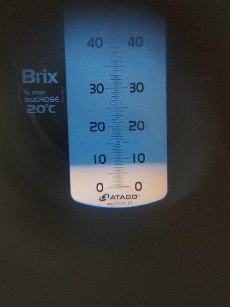 20190714_084023-1620x2160