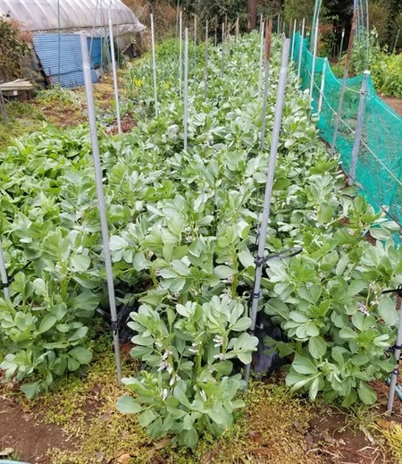 20190408_082813-1200x1600