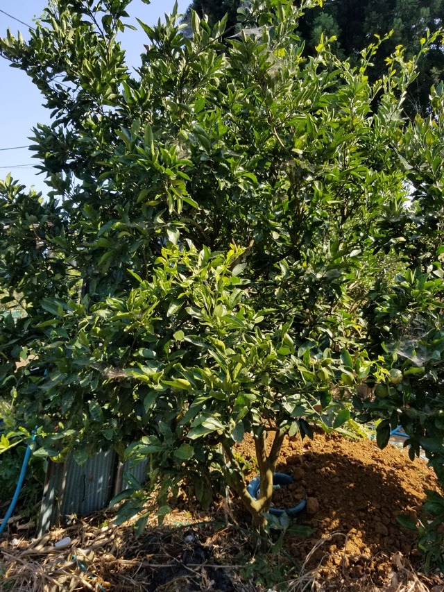 20230726_150428_copy_1512x2016