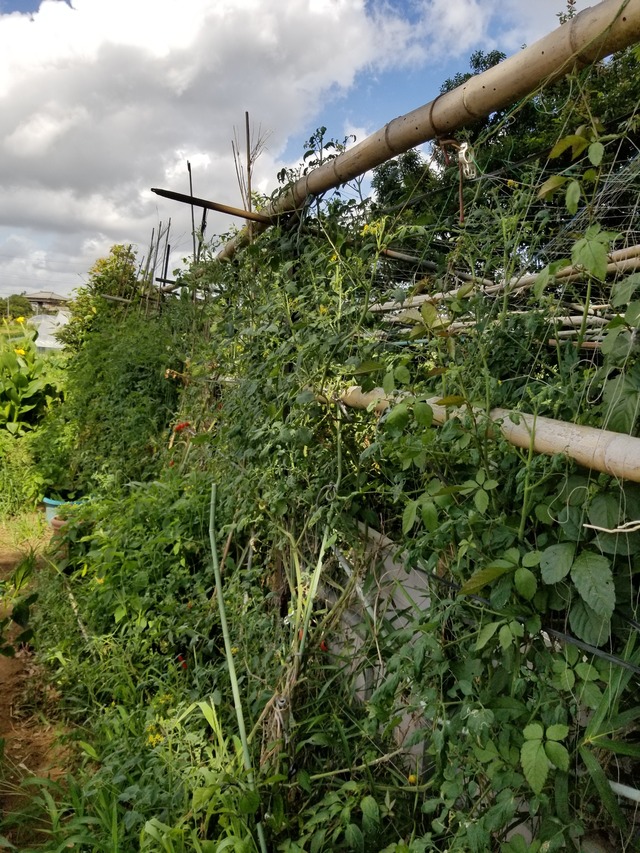 20210803_084202_copy_2268x3024