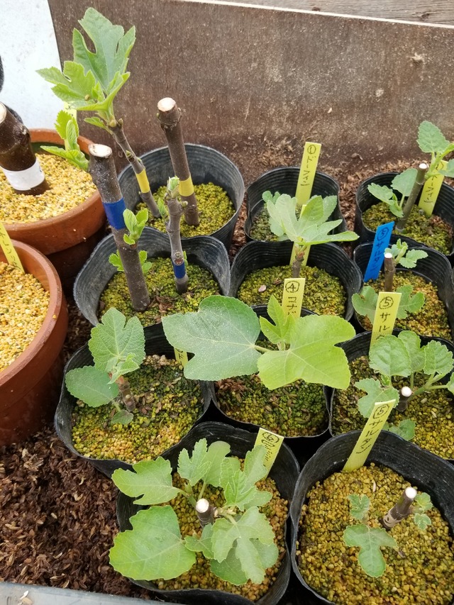 20240326_093758_copy_2268x3024