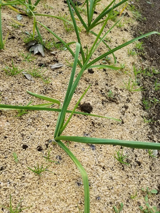 20191113_090629-1620x2160