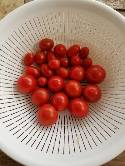 20190625_091747-1620x2160