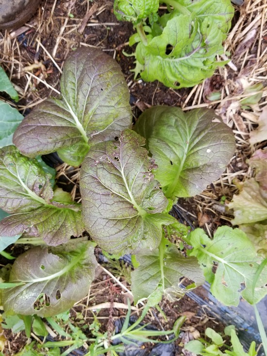 20191018_083558-1620x2160