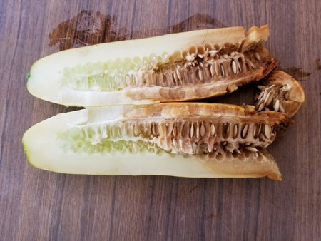 20190824_150504-2160x1620