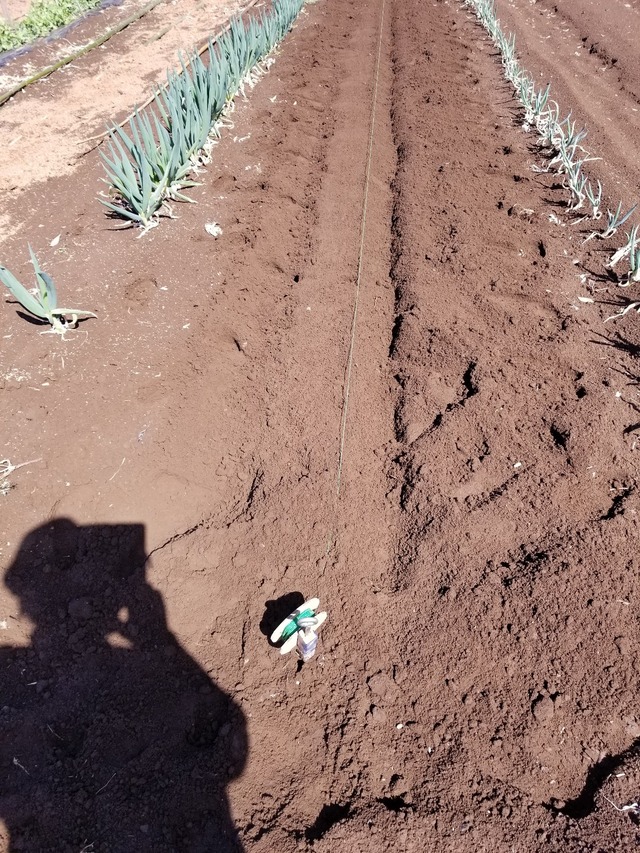 20230319_100408_copy_1209x1612