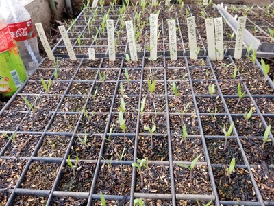 20200220_082642-3024x2268