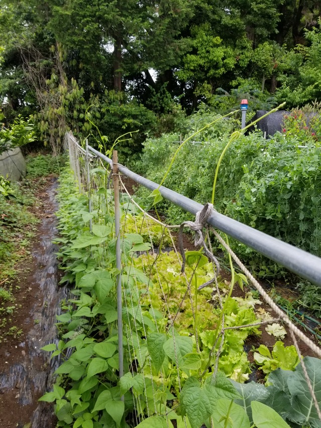 20220517_090210_copy_2268x3024