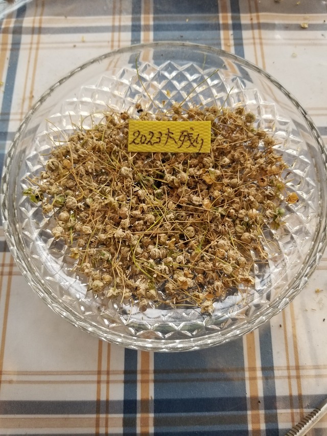 20230624_141122_copy_1512x2016