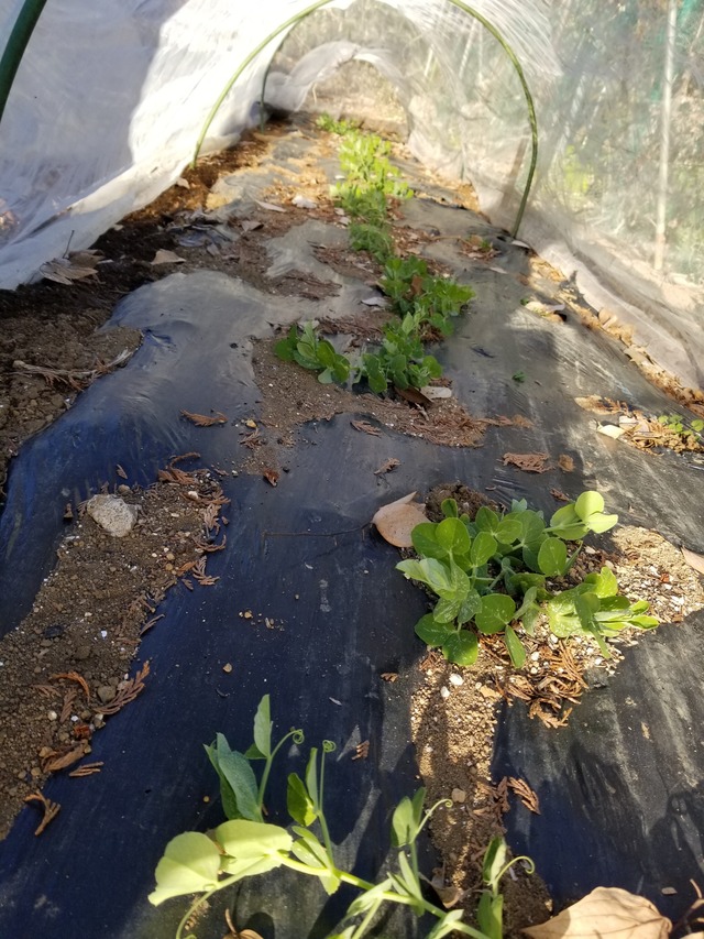 20220119_081446_copy_2268x3024