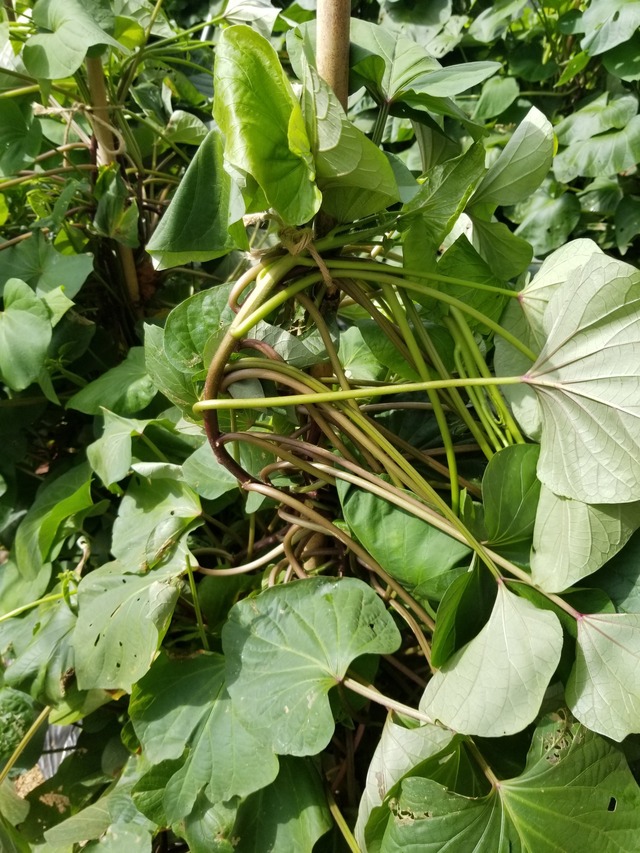 20230813_091500_copy_1512x2016