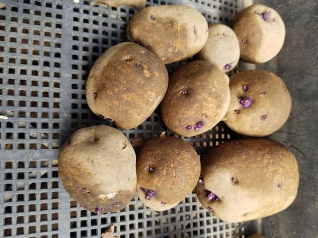 20220829_091011_copy_2016x1512