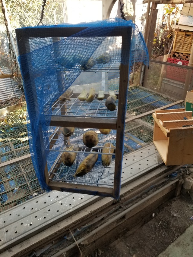 20211222_084921_copy_2268x3024