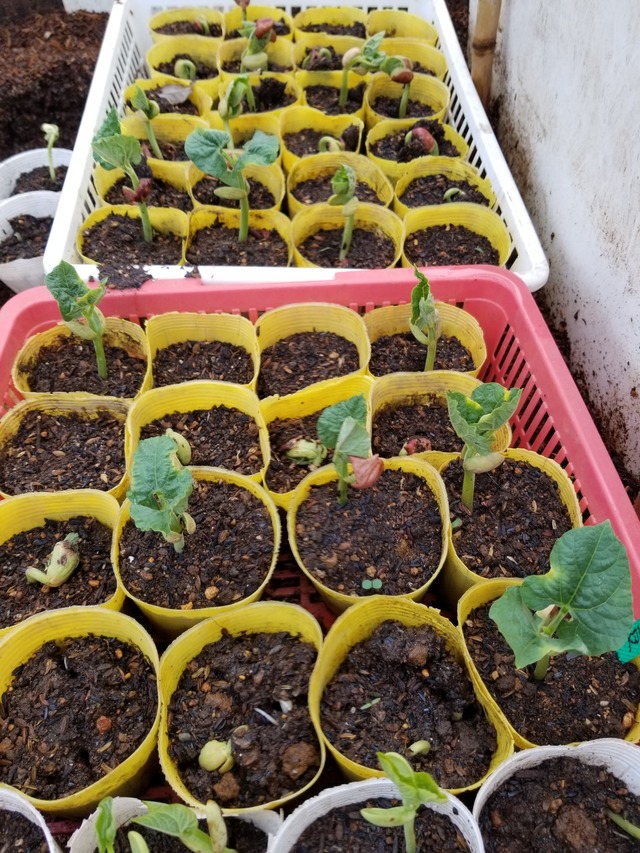 20230416_135344_copy_1512x2016