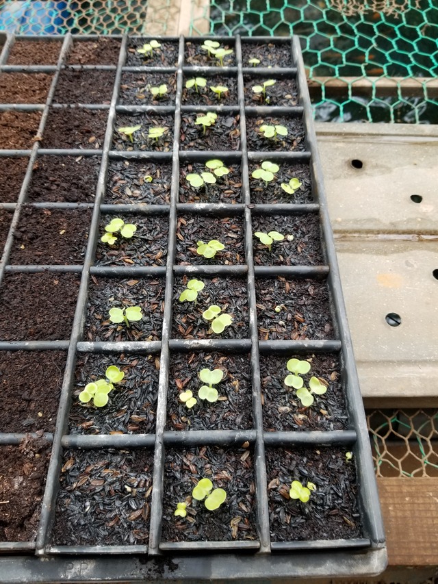 20210831_091054_copy_2268x3024