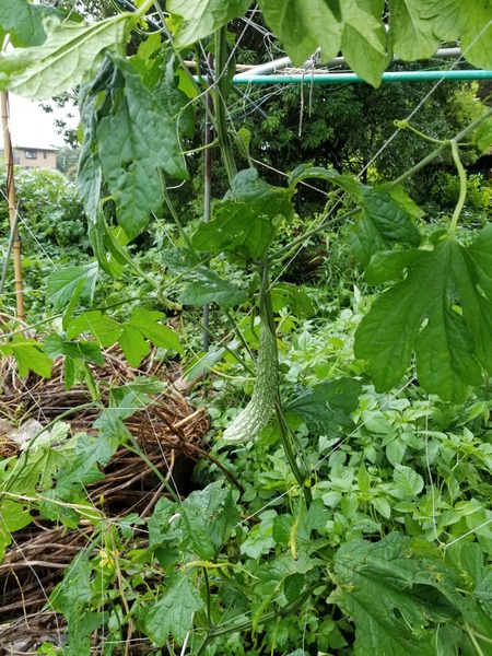 20190704_092716-1620x2160