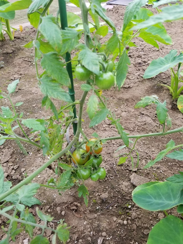 20230628_071939_copy_1512x2016