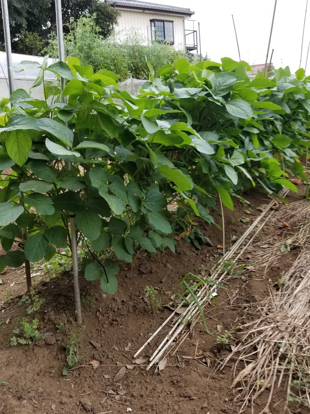 20200831_081302_copy_2268x3024