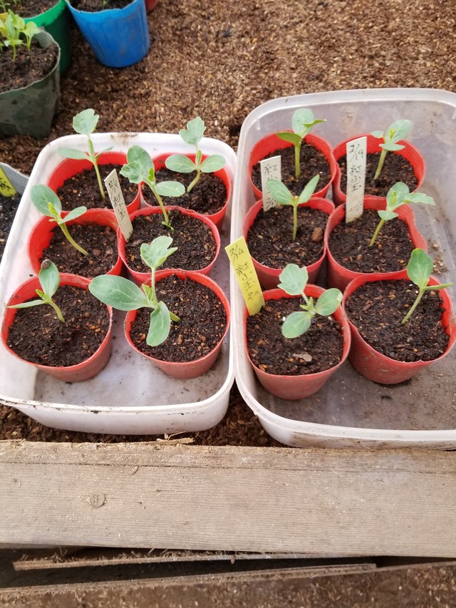 20220322_081020_copy_2268x3024