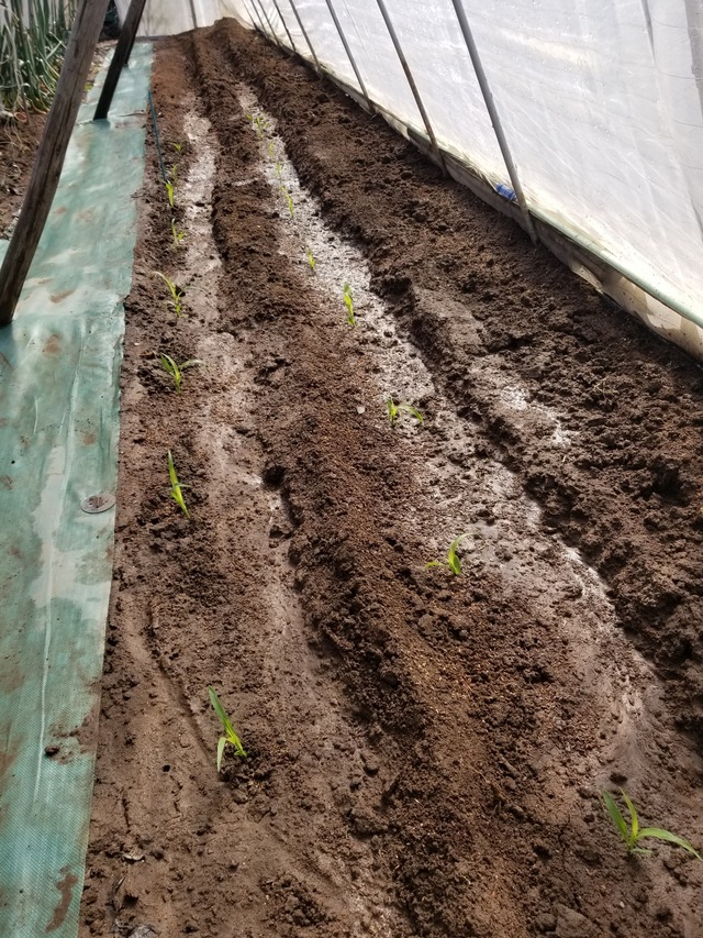 20240327_093613_copy_2268x3024