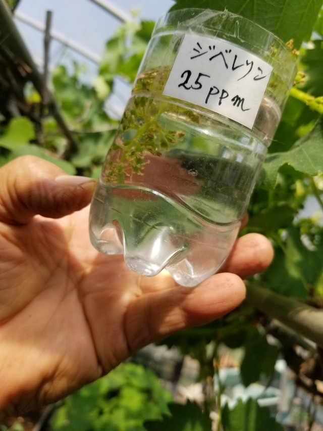 20230504_092932_copy_1512x2016