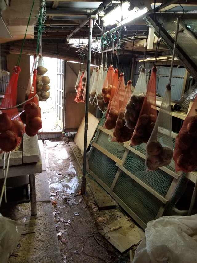 20230719_092946_copy_1512x2016