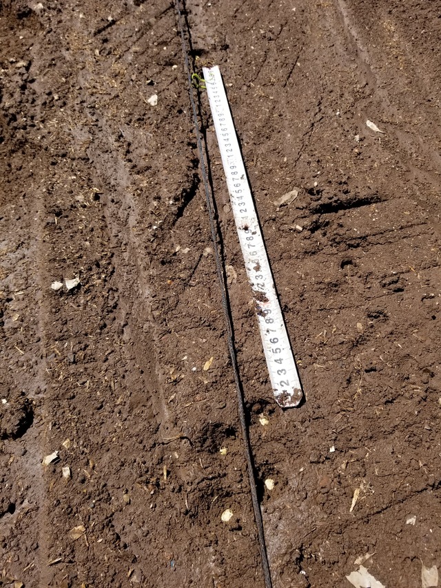 20210806_094537_copy_2268x3024