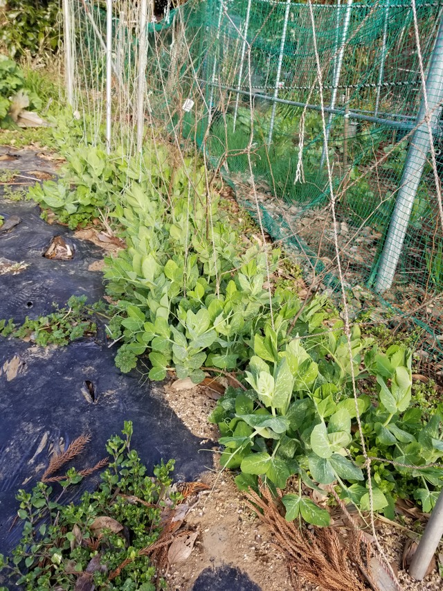 20200225_081910-2268x3024