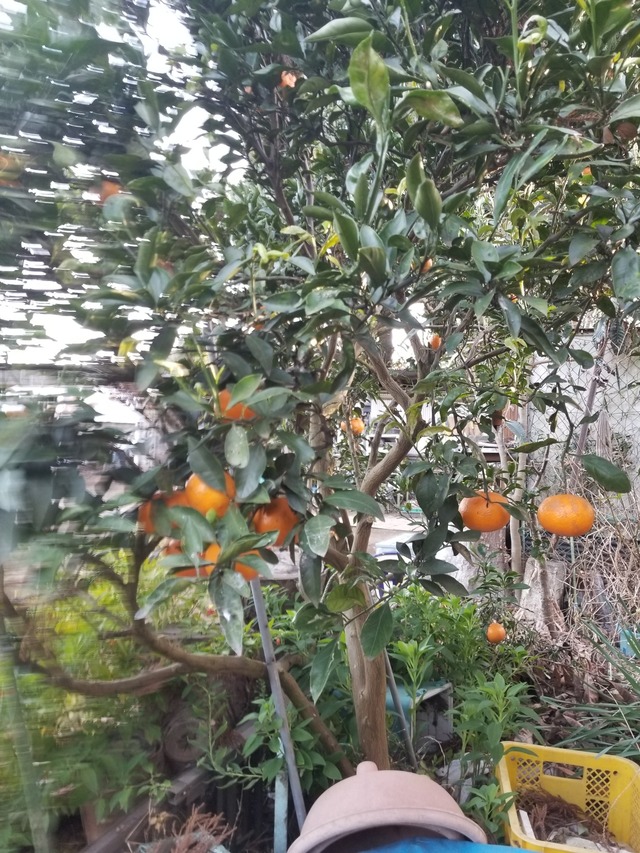 20231218_145950_copy_1512x2016