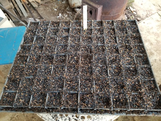 20191107_081443-2160x1620