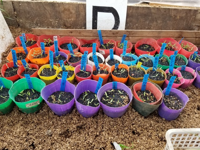 20240215_112258_copy_3024x2268