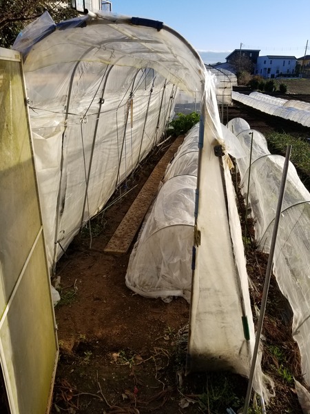 20191228_151350-2268x3024