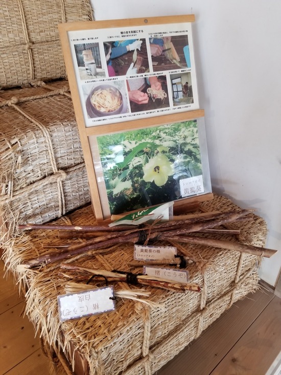 20191027_105257-1620x2160