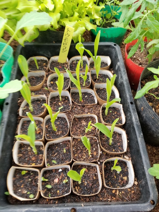 20220322_080955_copy_2268x3024