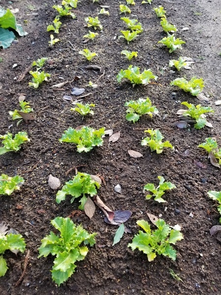 20200110_084528-2268x3024