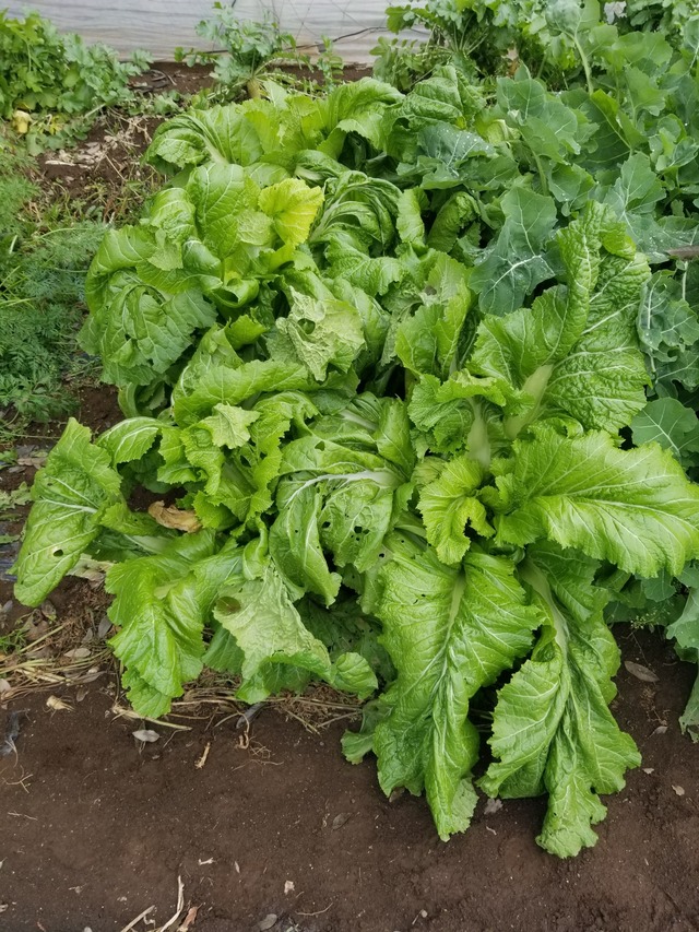 20231215_111127_copy_1512x2016