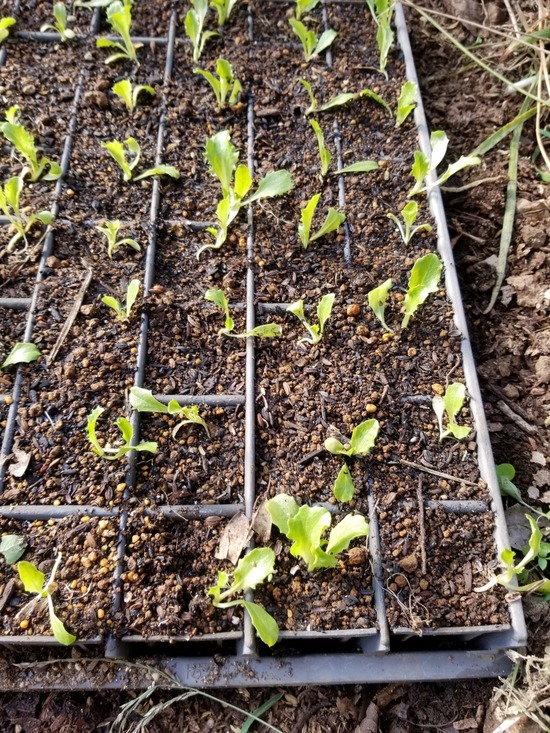 20191117_083755-1620x2160