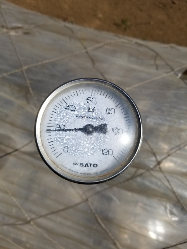 20240322_112436_copy_2268x3024