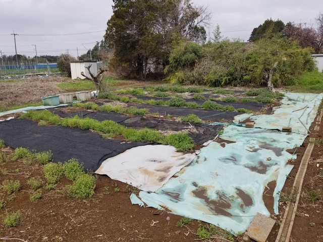 20240407_104411_copy_3024x2268_2