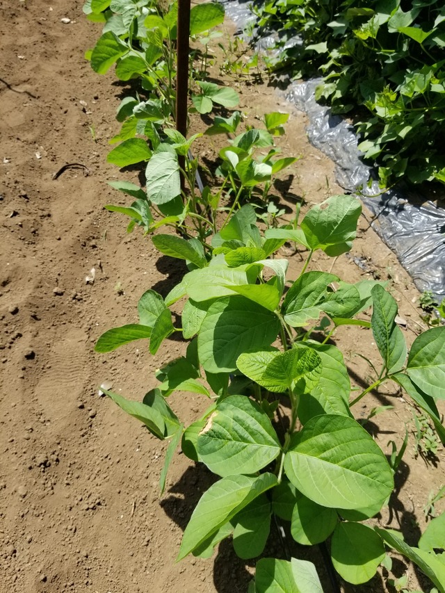 20220801_102754_copy_1512x2016