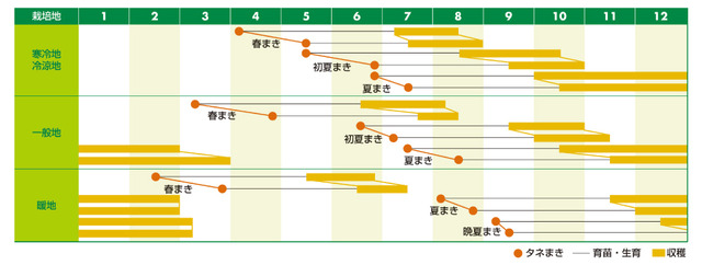 carrot_calender-thumb-960x363-5708