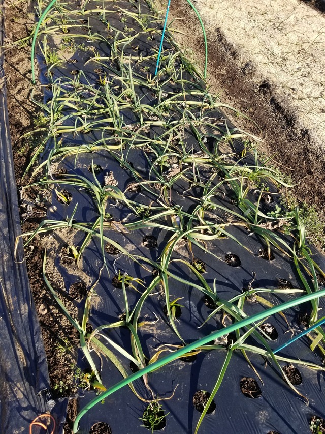 20211230_091403_copy_2268x3024