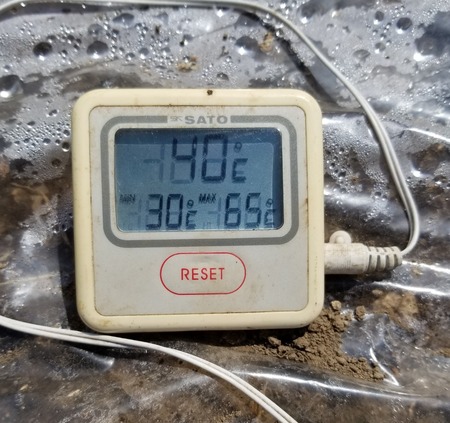 20190804_134905-1620x2160